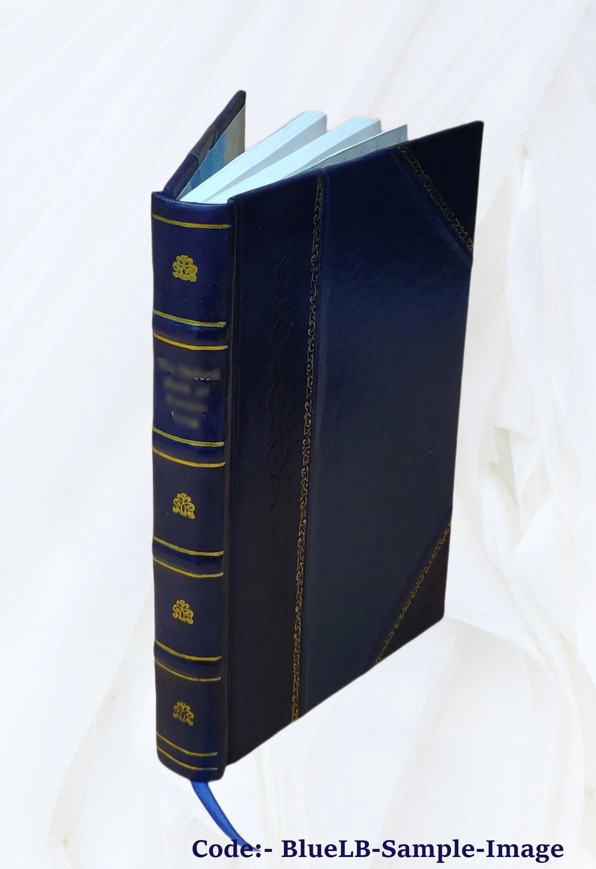 1903 Leather Bound Americana Catalogue U407841