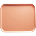 Rectangular Camtray D337504