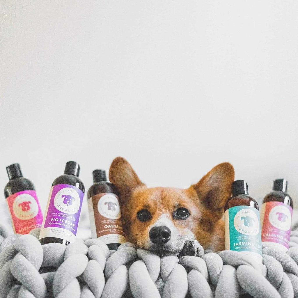 Jasmine & Lily Dog Shampoo I2140
