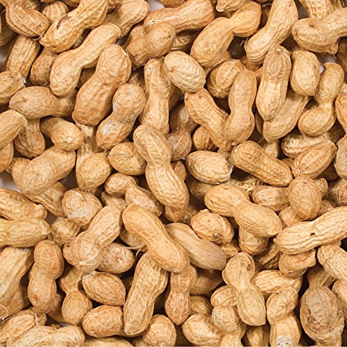 Inshell Peanuts 5 lb M982