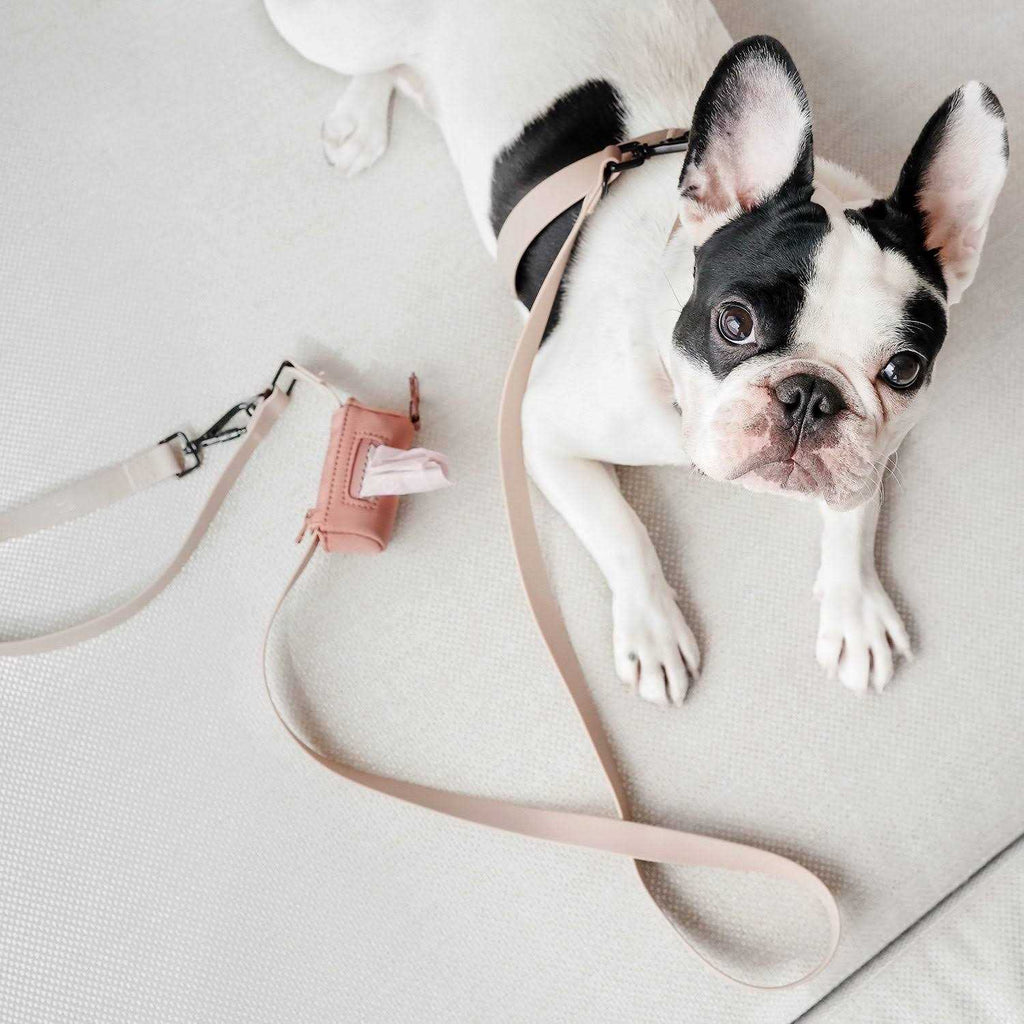 Hands Free Long Dog Leash I8221
