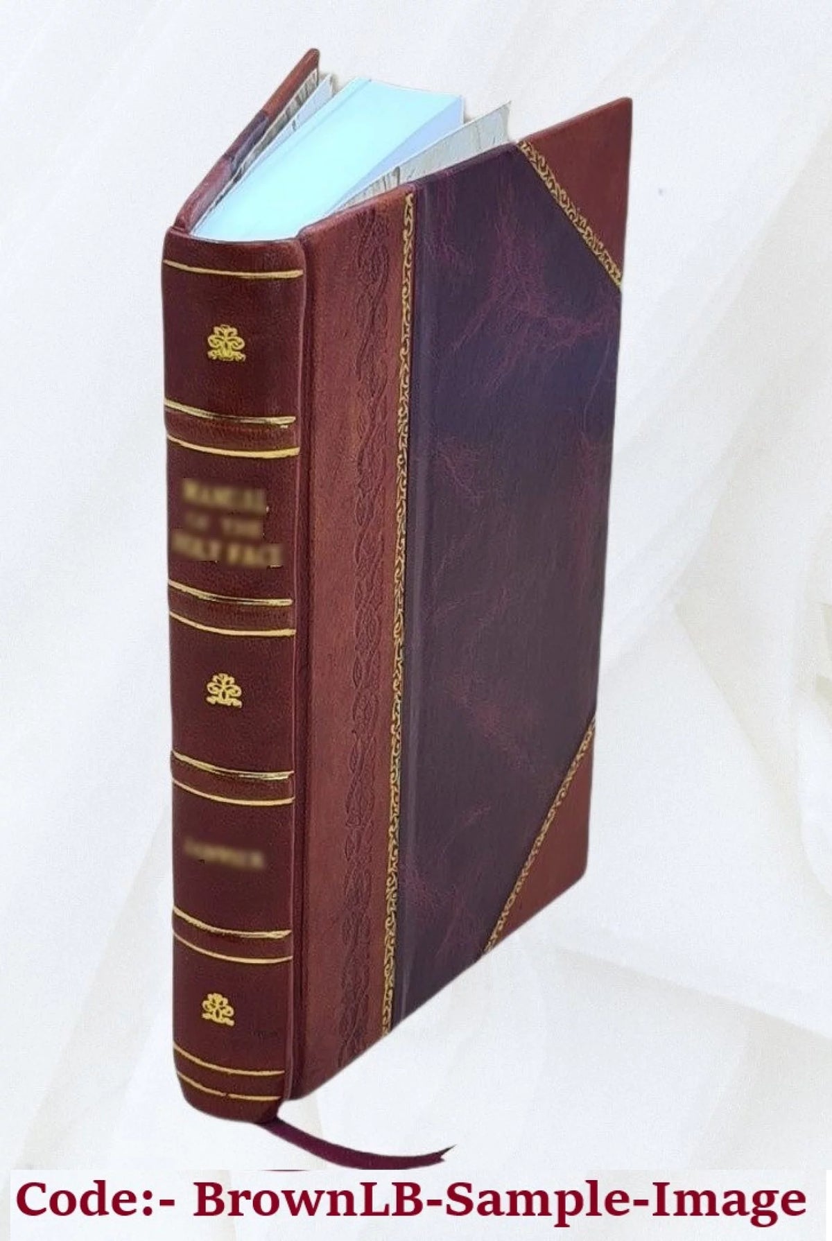 1903 Leather Bound Americana Catalogue U407841