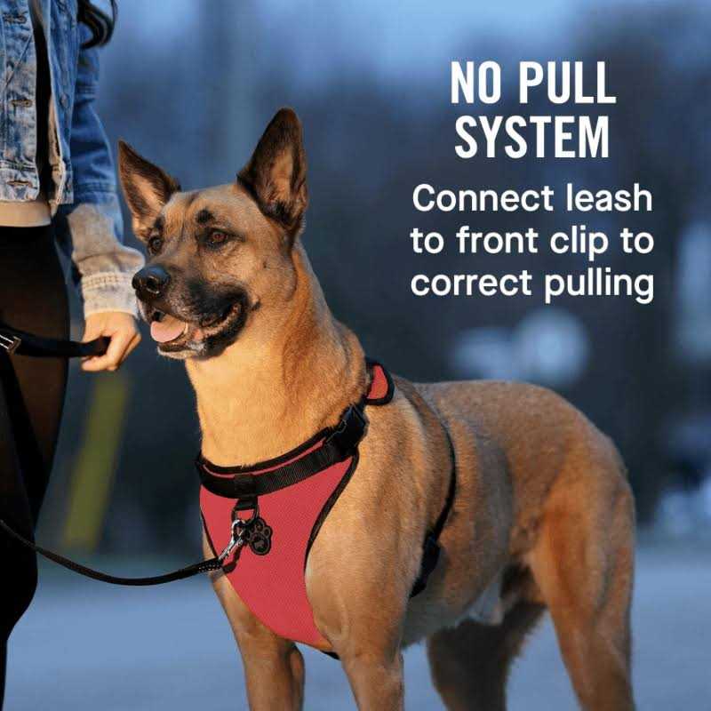 Dog Harness A129