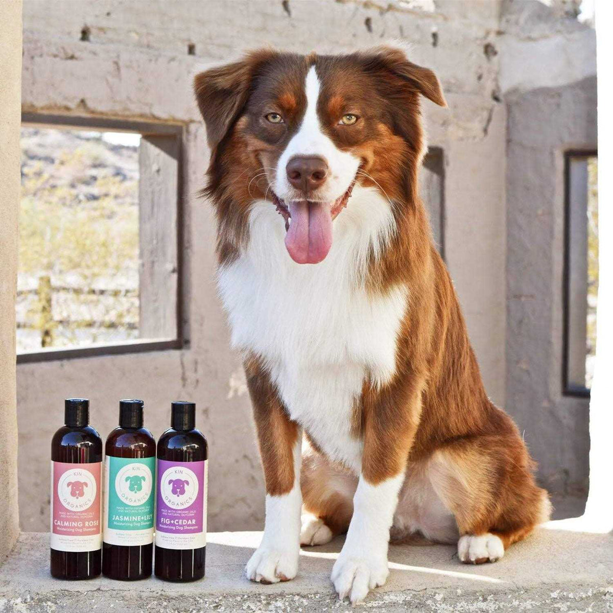 Jasmine & Lily Dog Shampoo I2140