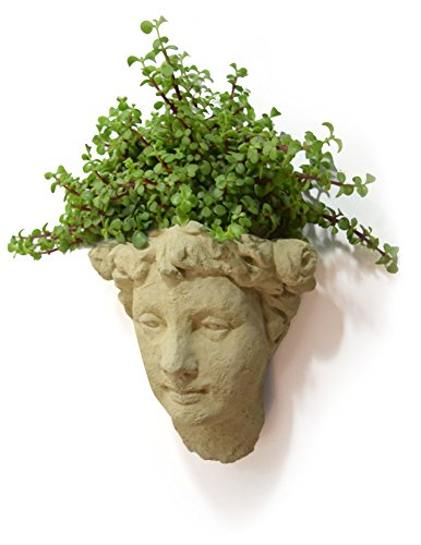 12-Inch Cast Stone Wall-Mounted Head Planter E18261
