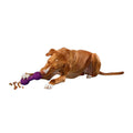 Dog Toy G7747