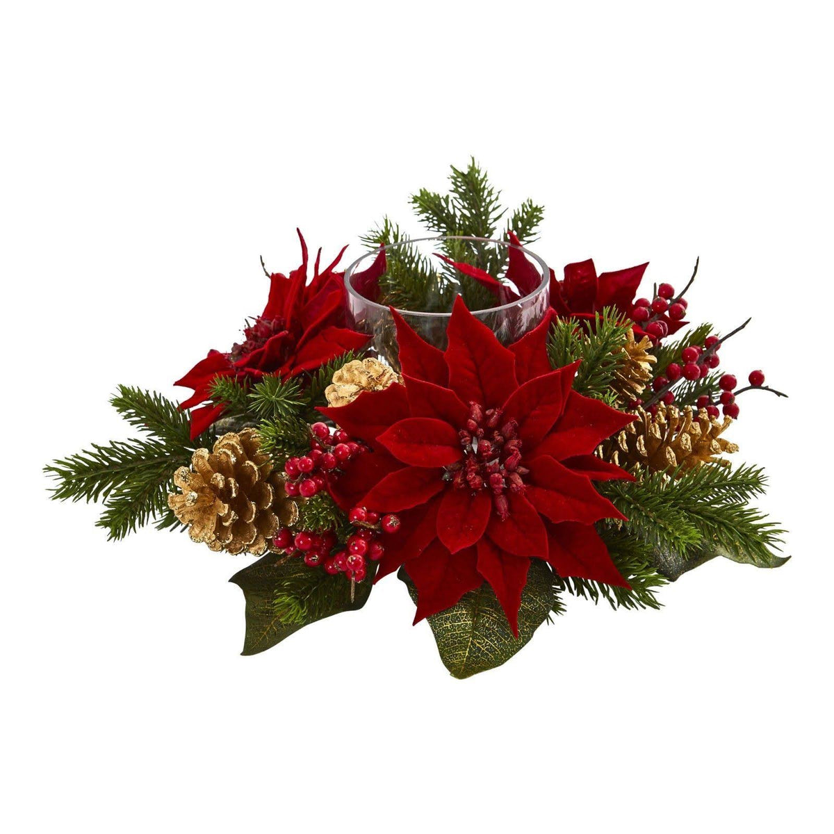 Amaryllis Candelabrum N826