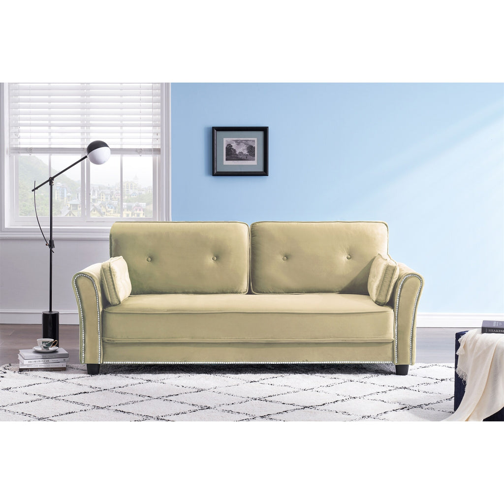 Grey Velvet Loveseat Sofa with Two Pillows X72641
