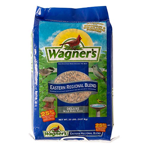 Inshell Peanuts 5 lb M982