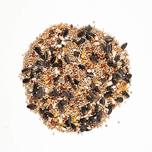 Inshell Peanuts 5 lb M982
