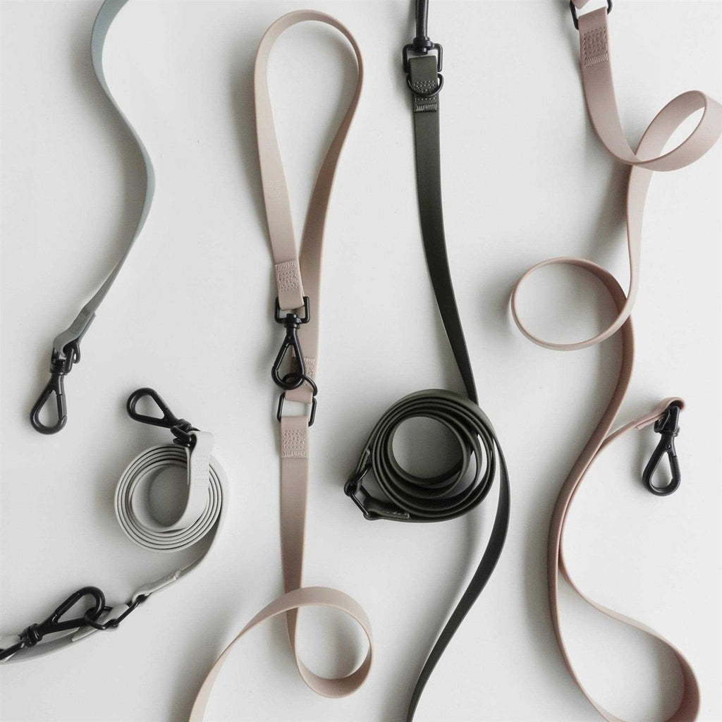 Hands Free Long Dog Leash I8221