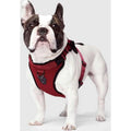 Dog Harness A129