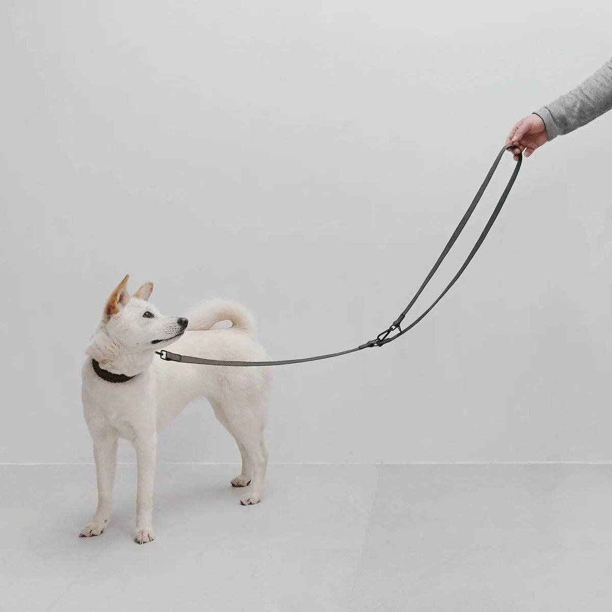 Hands Free Long Dog Leash I8221