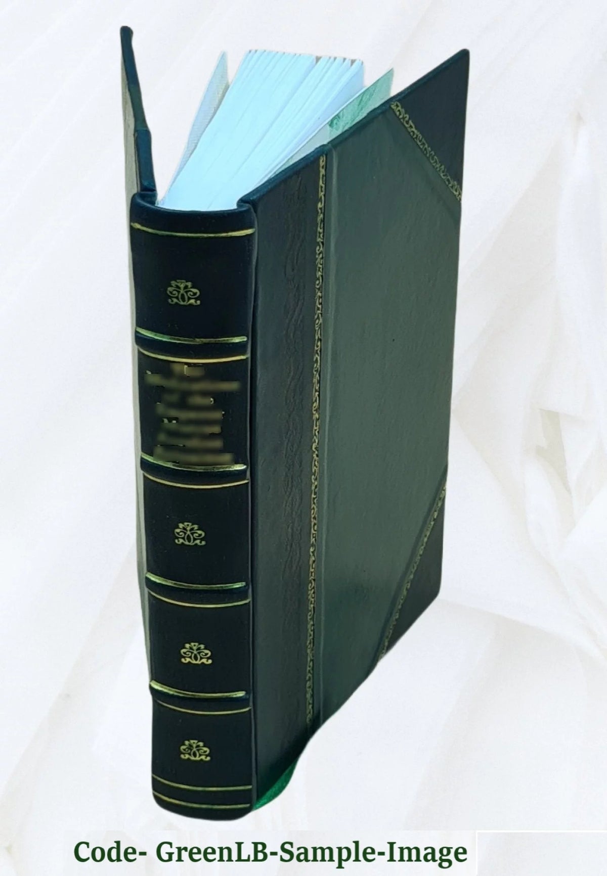 1903 Leather Bound Americana Catalogue U407841