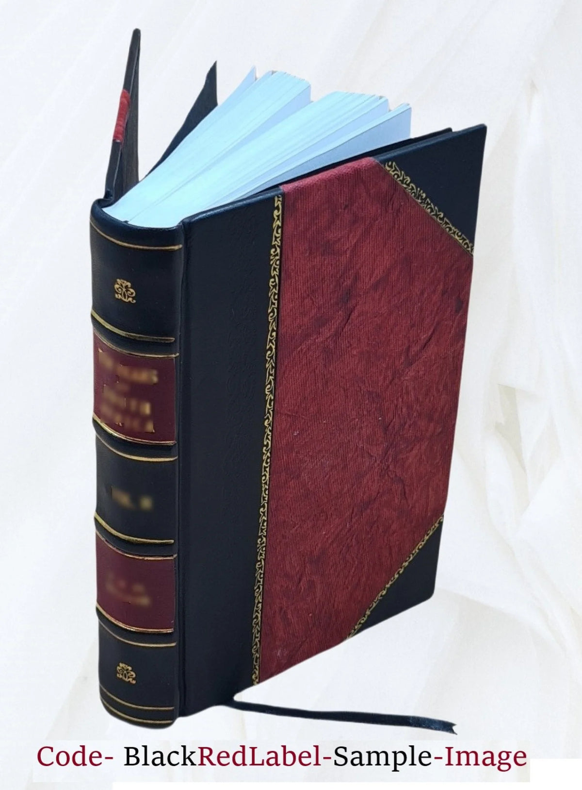 1903 Leather Bound Americana Catalogue U407841