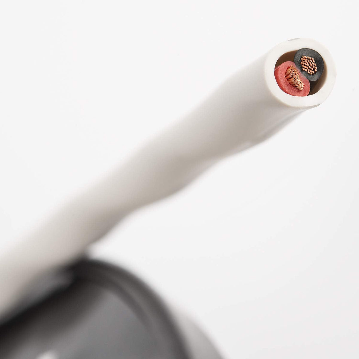 100ft White Speaker Cable C3838